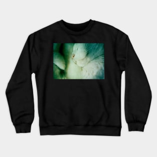 Snuggled Sleeping White Furball of Cat Crewneck Sweatshirt